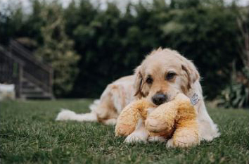 Alisa od �pat� Sp�len�ku