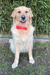 Alisa od �pat� Sp�len�ku