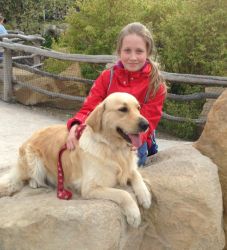 Alisa od �pat� Sp�len�ku