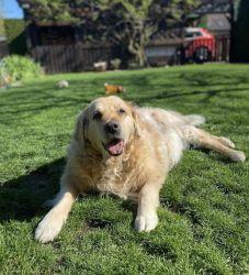 Alisa od �pat� Sp�len�ku